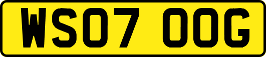 WS07OOG