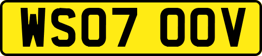 WS07OOV