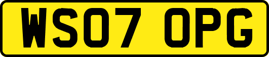 WS07OPG