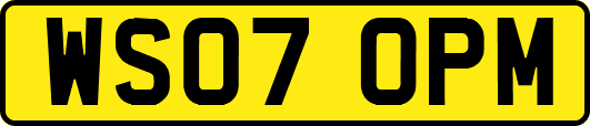 WS07OPM