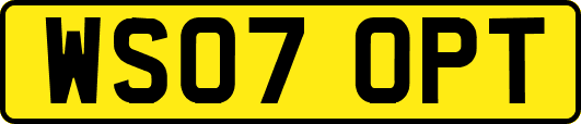 WS07OPT