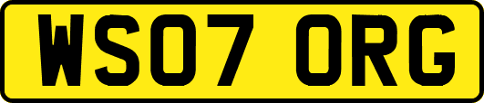WS07ORG