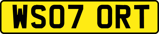 WS07ORT