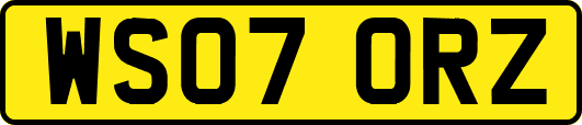 WS07ORZ