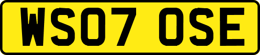 WS07OSE
