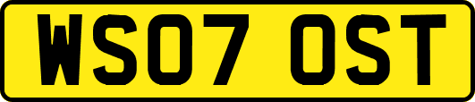 WS07OST