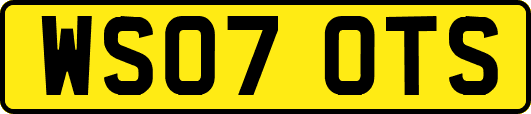 WS07OTS
