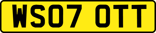 WS07OTT
