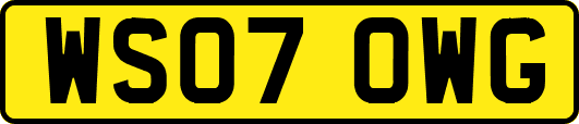 WS07OWG
