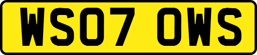 WS07OWS
