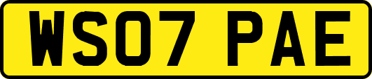 WS07PAE