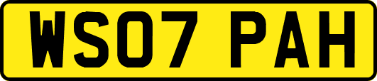 WS07PAH