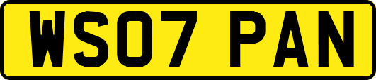 WS07PAN