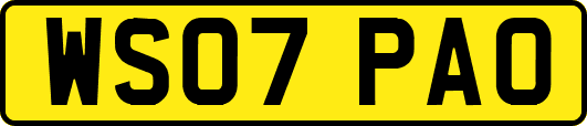 WS07PAO