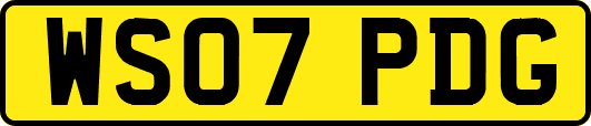 WS07PDG