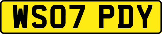 WS07PDY