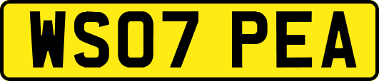 WS07PEA