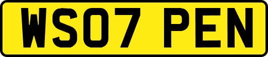 WS07PEN
