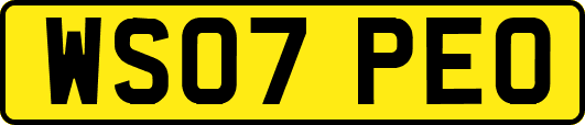 WS07PEO