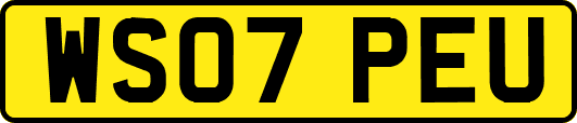 WS07PEU