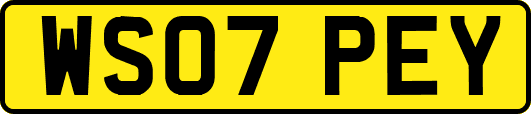 WS07PEY