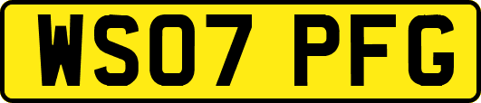 WS07PFG