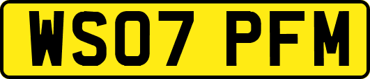 WS07PFM