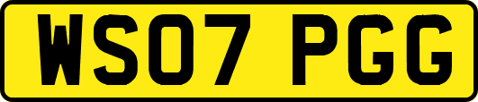 WS07PGG