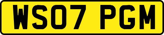 WS07PGM