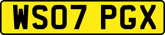 WS07PGX