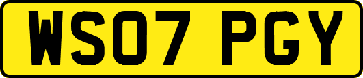WS07PGY