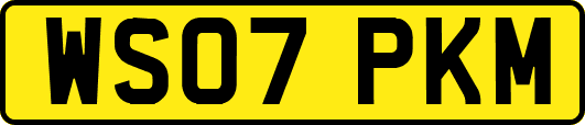 WS07PKM