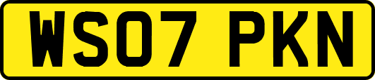 WS07PKN
