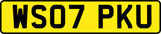 WS07PKU