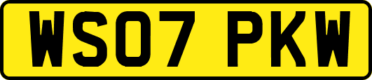 WS07PKW