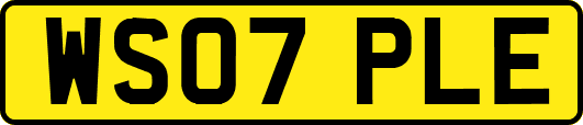 WS07PLE