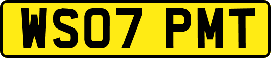 WS07PMT