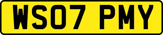 WS07PMY