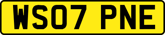 WS07PNE