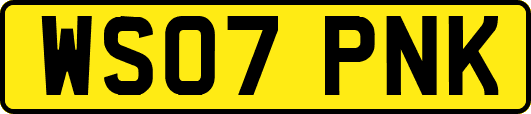 WS07PNK