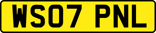 WS07PNL