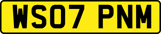 WS07PNM
