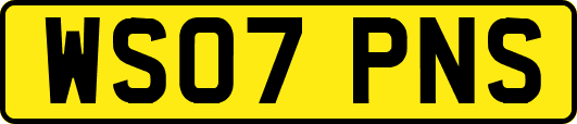 WS07PNS