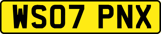WS07PNX