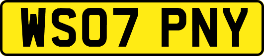 WS07PNY