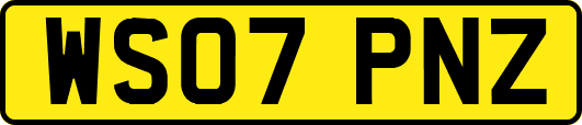 WS07PNZ
