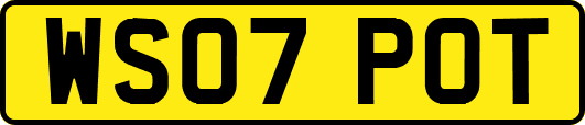 WS07POT