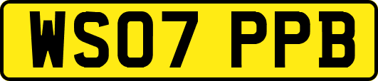 WS07PPB