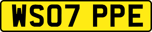 WS07PPE