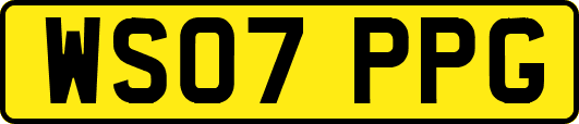 WS07PPG